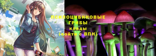 шишки Алексеевка
