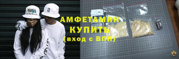 хмурый Алексин