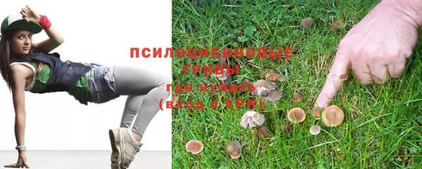 каннабис Алзамай