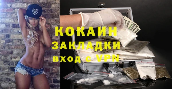 хмурый Алексин