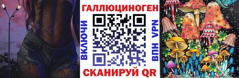 Псилоцибиновые грибы Cubensis  Лесосибирск 